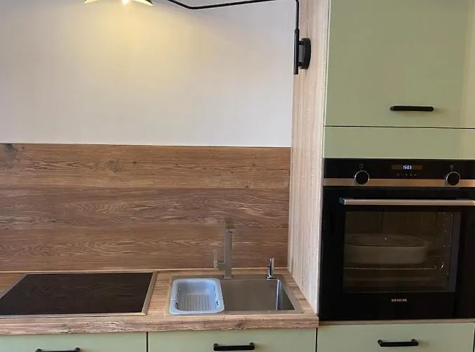 H-36 1.2 Apartment Koblenz (Rhineland-Palatinate)